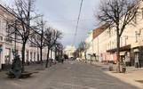 В центре Ярославля вместо спиленных деревьев посадят клены и липы