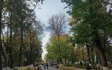 Эксперт объяснил переименование части бульвара Мира в Ярославле