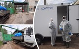 На территории Ярославской области вводится режим ЧС из-за птичьего гриппа