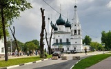 Эксперты назвали варварством обрезку деревьев в Ярославле