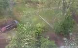 В Ярославле из-за грозы и ветра падают столбы и деревья