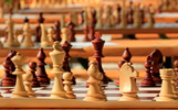 Родители школьников Ярославля предлагают убрать обязательные уроки шахмат