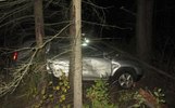 В Некрасовском районе водитель погиб после столкновения с лосем