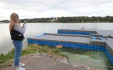 В Ярославской области откроют только один причал в Тутаеве