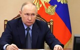 Ярославцы смогут обратиться к Владимиру Путину