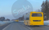 Жители Ярославской области заметили новые «жёлтые автобусы»