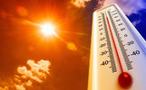 В Ярославле предсказали аномально жаркое лето