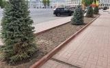 Советскую площадь в Ярославле может подтопить после благоустройства