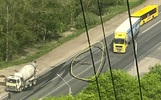 В Ярославле грузовик сбил лосенка