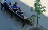 Ярославцы пожаловались на изгаженную улицу Кирова