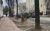Ярославцы сообщают о первых последствиях шторма