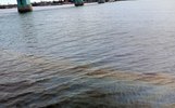 Возле Октябрьского моста в Ярославле заметили масляные пятна