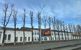 В Ярославле объяснили вырубки деревьев на Московском проспекте