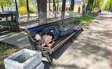 В Ярославле снова можно будет лежать на лавочках