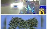 В Рыбинске на Волжском мосту поймали наркокурьера