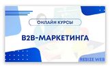 Чем полезны курсы по B2B-маркетингу для собственников малого бизнеса