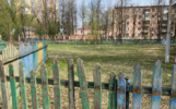 В ярославском парке обещают сделать площадку для йоги