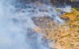 Жителям ярославского райцентра мешает дым с мусорного полигона