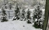 Переславль-Залесский занесло снегом
