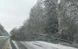Часть жителей Переславля осталась без электричества из-за снегопада