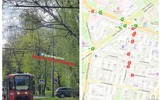 В Ярославле дерево остановило движение трамваев