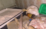 В Ярославле ликвидирована нарколаборатория