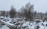 В Ярославской области ожидается мокрый снег