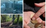 Вавилон и павлины на самовыгуле: топ неочевидных событий недели в Ярославле