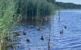 В Ярославской области суд запретил продавать землю в районе водозабора