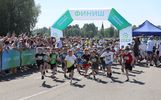 В Ярославле на Зелёный Марафон Сбера уже зарегистрировалось более тысячи участников 