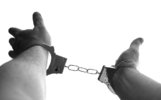 В Ярославле таможенники поймали зиц-председателя