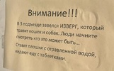 Жители рыбинской многоэтажки жалуются на отравителя домашних животных