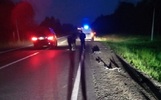В Ярославской области за смертельное ДТП будут судить водителя мотоблока