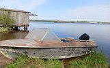 В Ярославской области возбуждено дело по факту убийства лосихи