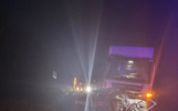 В ДТП с лосем и фурой под Переславлем погибли два человека