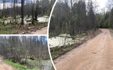 Ярославцы требуют ремонта превращающейся в болото дороги