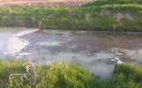 В Ярославской области специалисты оценят загрязнение Золотого ручья