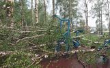 В Ярославской области энергетики ликвидируют последствия штормового ветра 