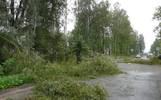 В Ярославле ждут шквалистый ветер