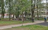В ярославском парке дерево рухнуло на столы для тенниса