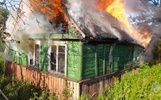 В Ярославской области случились «ягодные» пожары