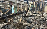В Ярославской области с горевшей фермы спасли коров