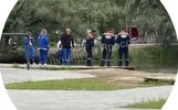 На прудах в ярославском парке утонул мужчина