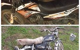 Юные ярославцы пострадали в ДТП с мотоциклом, мопедом и квадроциклом