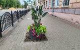 Улицу Советскую в Ярославле освободят от проводов