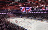 В Ярославле выявлено мошенничество с билетами на игру «Локомотива»