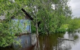 В подтопленном ярославском селе возьмут пробы воды