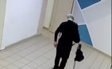 Ярославцы сообщили о подъездном воре