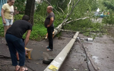 В Ярославле столб упал на ребенка