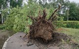 Прокуратура проверит своевременность предупреждения об урагане в Ярославле
